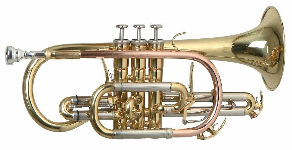 Roy Benson cornetta sib CR302 Laccata