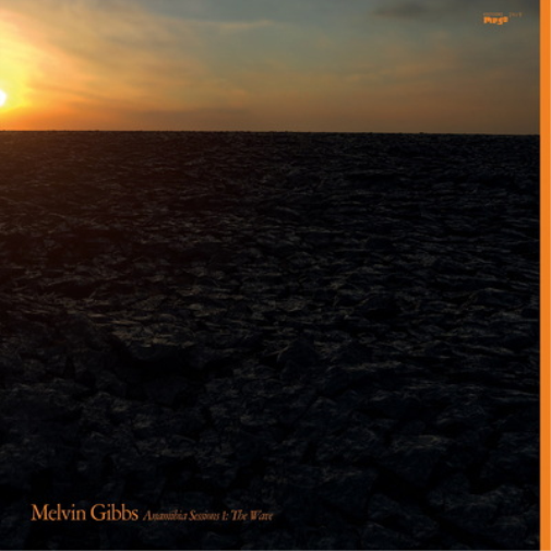 Melvin Gibbs Anamibia Sessions 1: The Wave (Vinyl LP) 12" Album