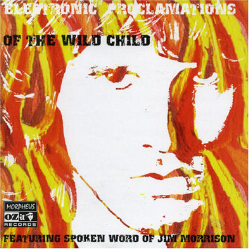 Various Artists Electronic Proclamations of the Wild Child (CD) Album