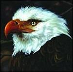 Mogwai - The Hawk Is Howling - 2 Vinili