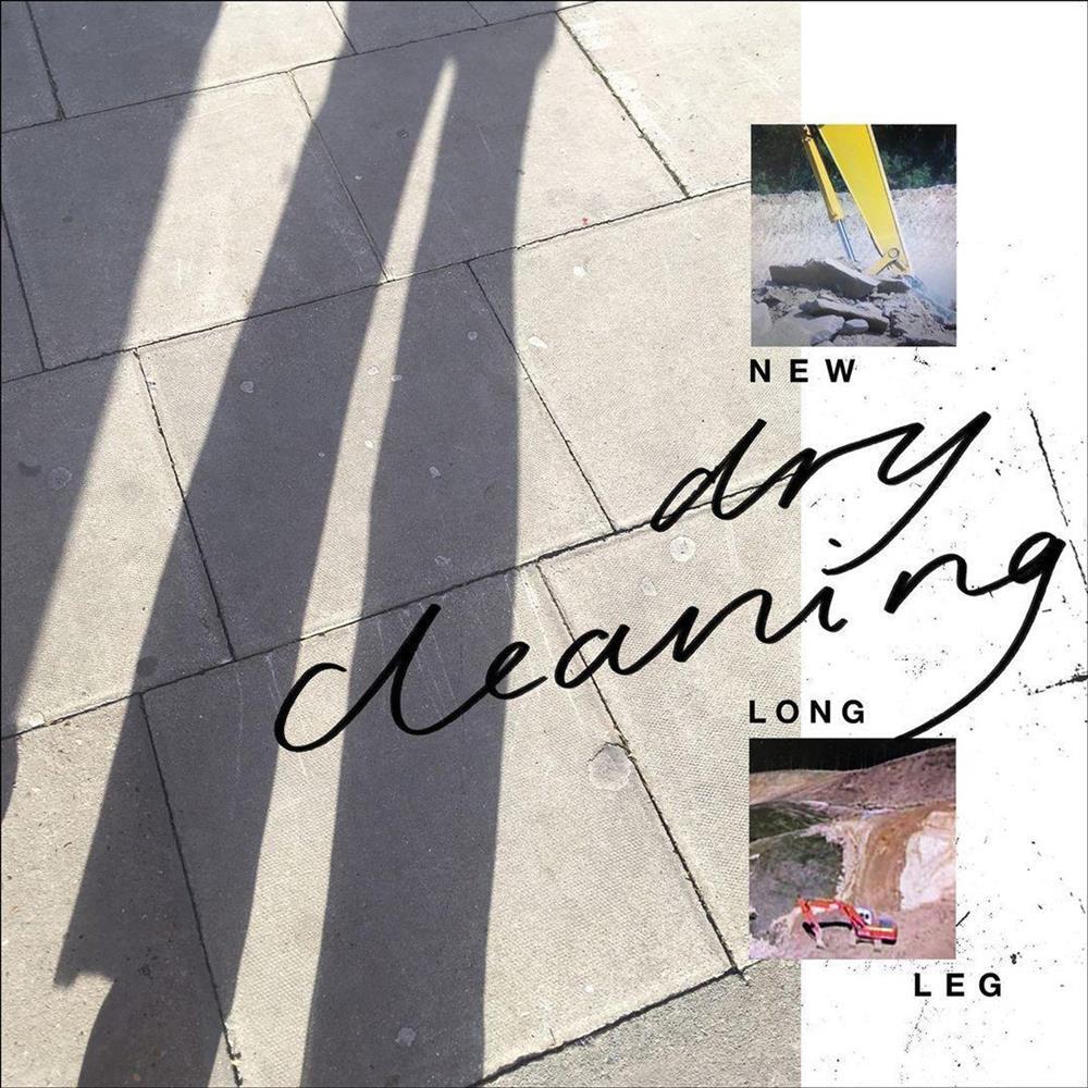New Long Leg - Dry Cleaning (Audio Cd)