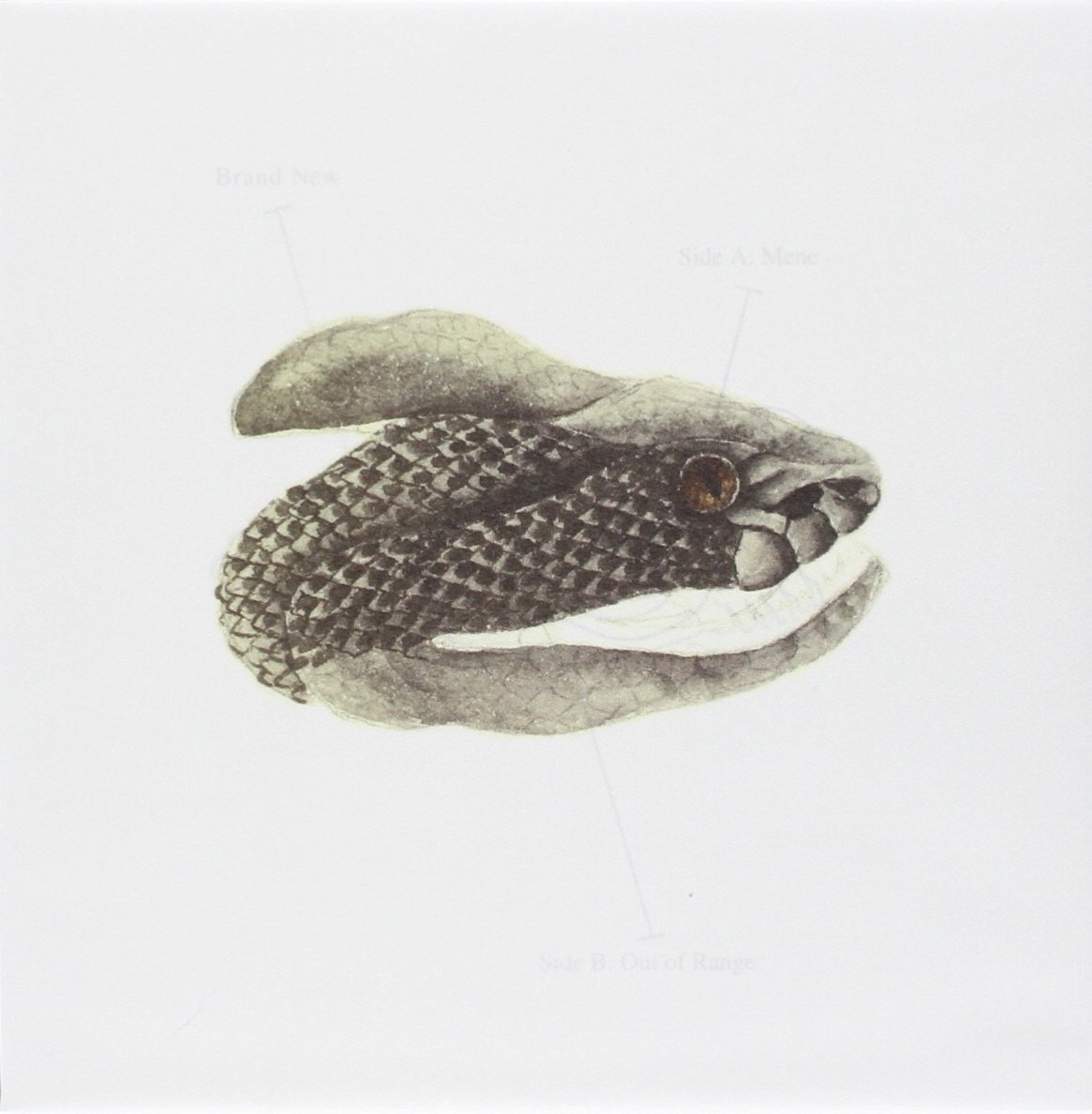 Brand New Mene (Vinyl LP)