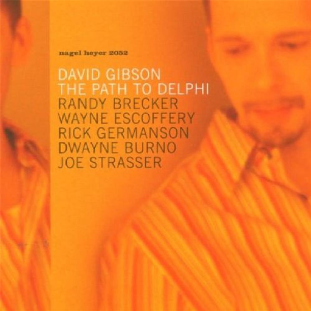 The Path To Delphi - Dave Gibson (Audio cd)