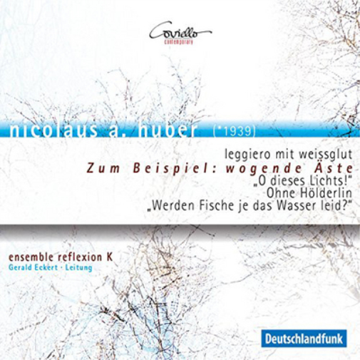 Nicolaus A. Huber Nicolaus A. Huber: Zum Beispiel: Wogende Aste (CD) Album