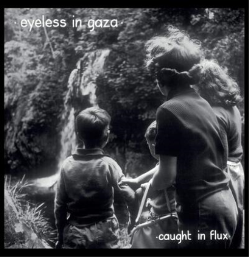 Eyeless in Gaza Caught in Flux (Vinyl LP) 12" Album