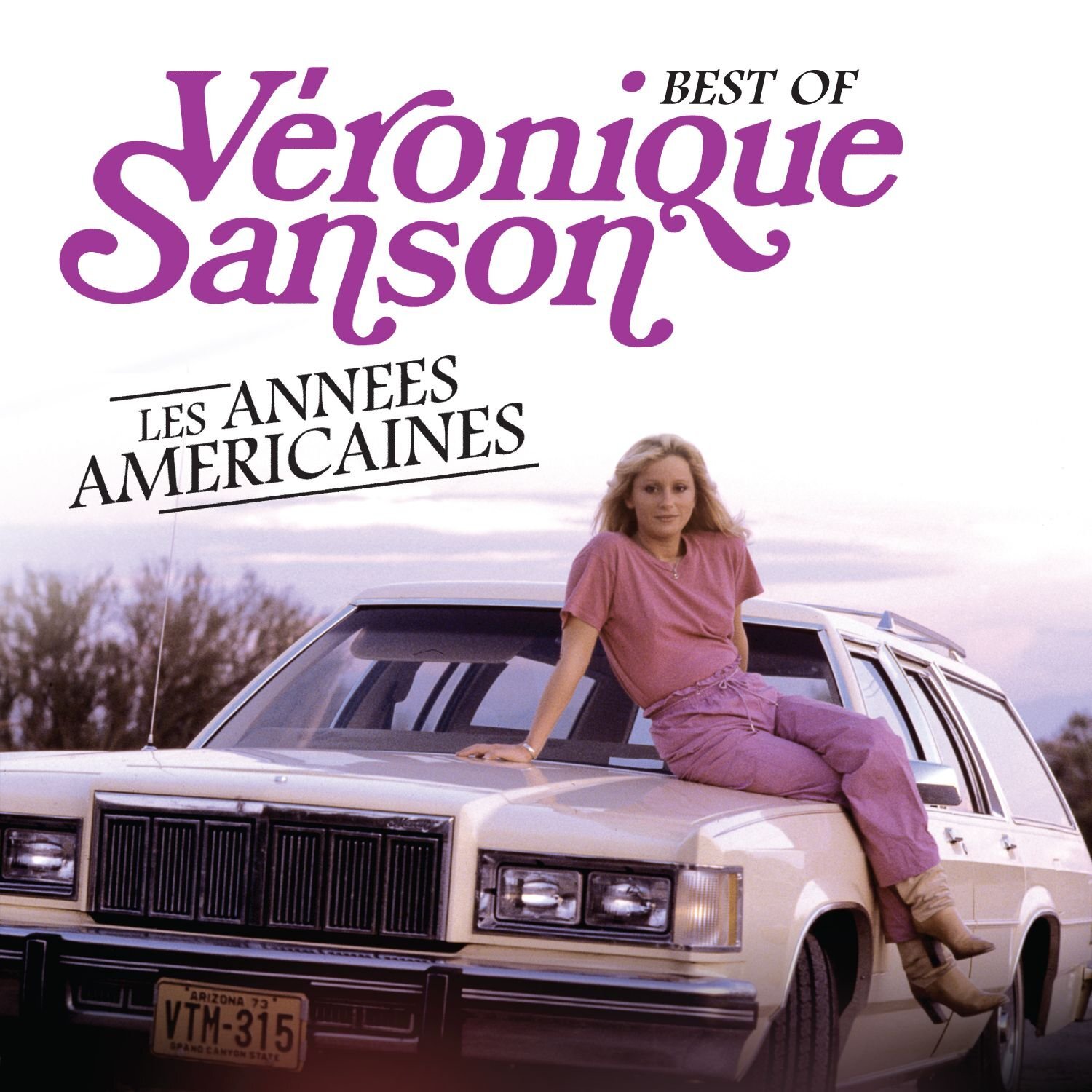 Veronique Sanson Les Annees Americaines (Vinyl LP)