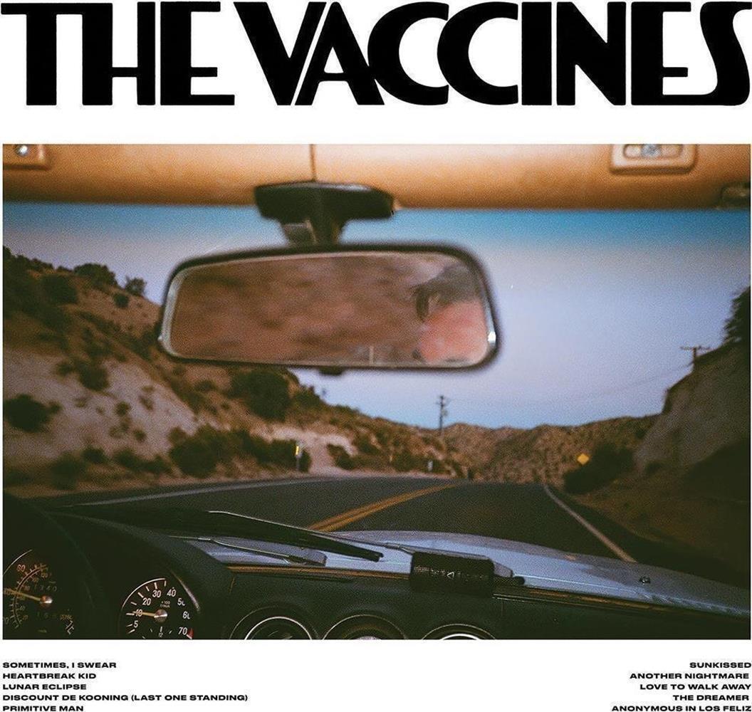Pick-Up Full Of Pink Carnations (Coloured) - Vaccines (The) (Vinile)