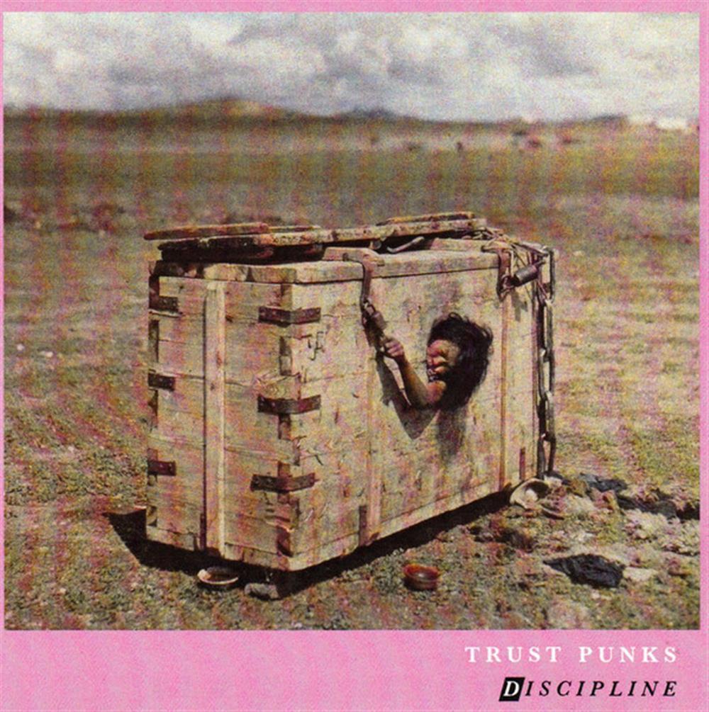 Discipline Cd - Trust Punks (Audio CD)