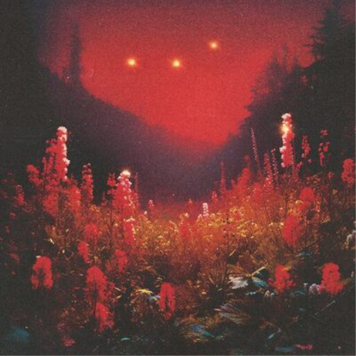 Silent Planet Superbloom (CD) Album
