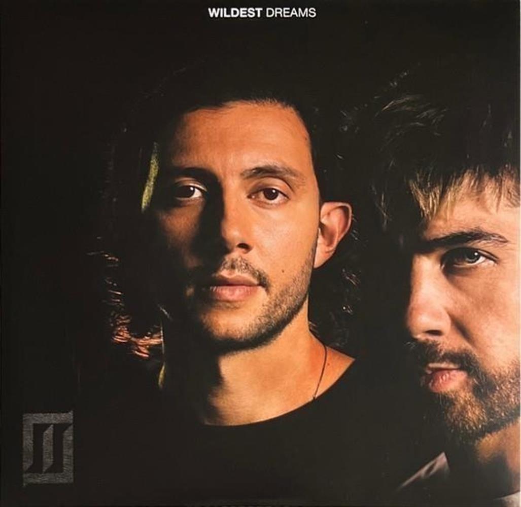 Wildest Dreams - Majid Jordan (Vinile)