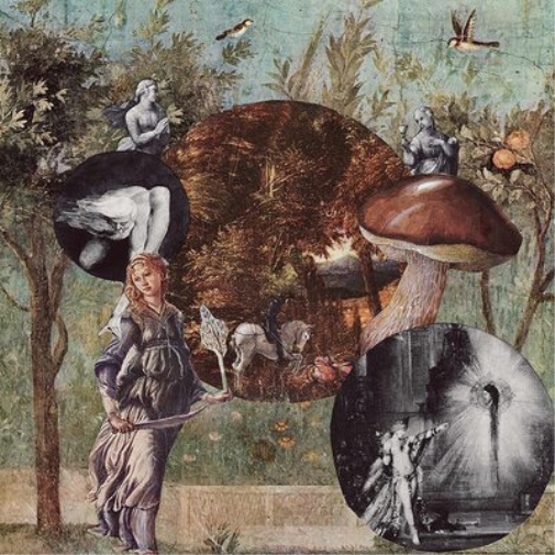 Native Harrow Old Kind of Magic (Vinyl LP) 12" Album