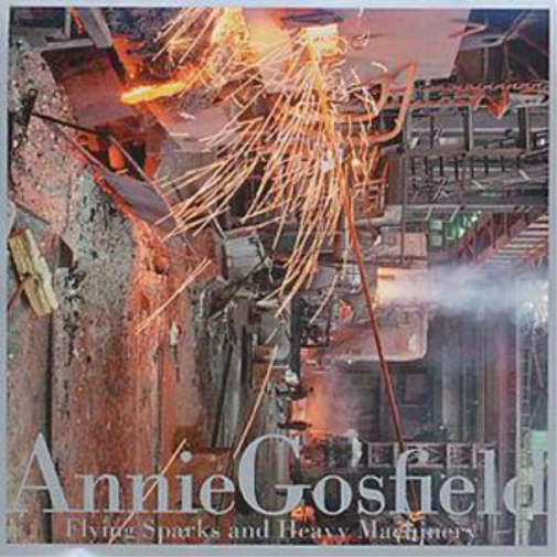 Annie Gosfield Flying Sparks And Heavy Machinery (CD) Album