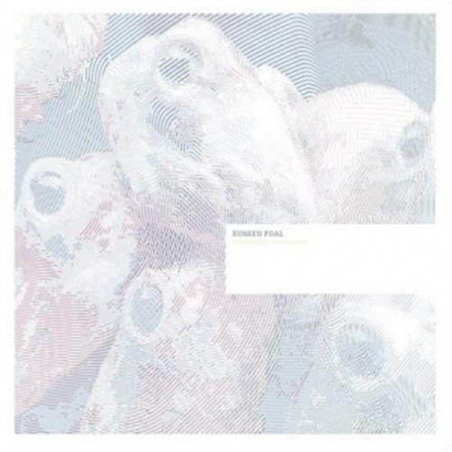 Fermented Condiments - Sunken Foal (Vinile)