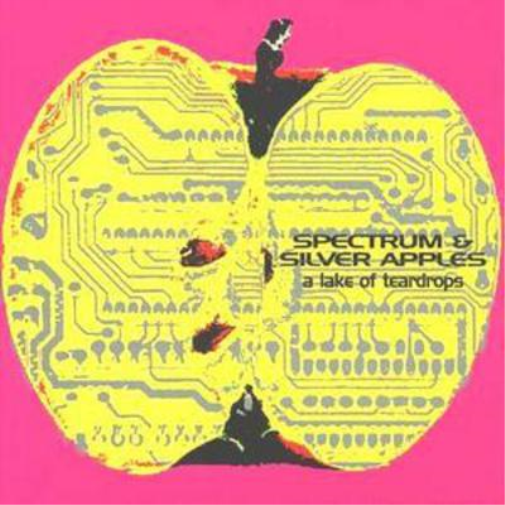 Silver Apples A Lake of Teardrops (CD) Album