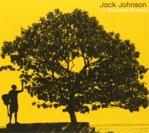 Jack Johnson In Between Dreams (CD) Import
