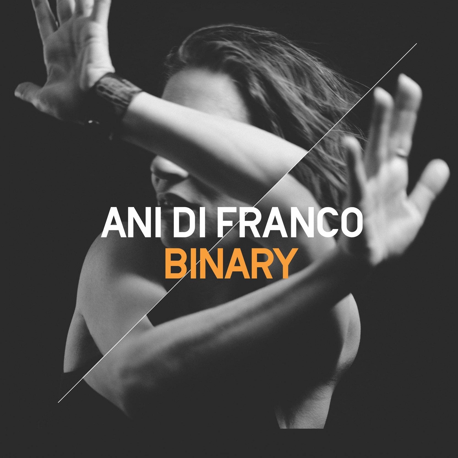 Difranco, Ani Binary (CD)