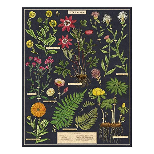 Cavallini 1000 Piece Puzzle, Herbarium (Pzl/Herbarium)