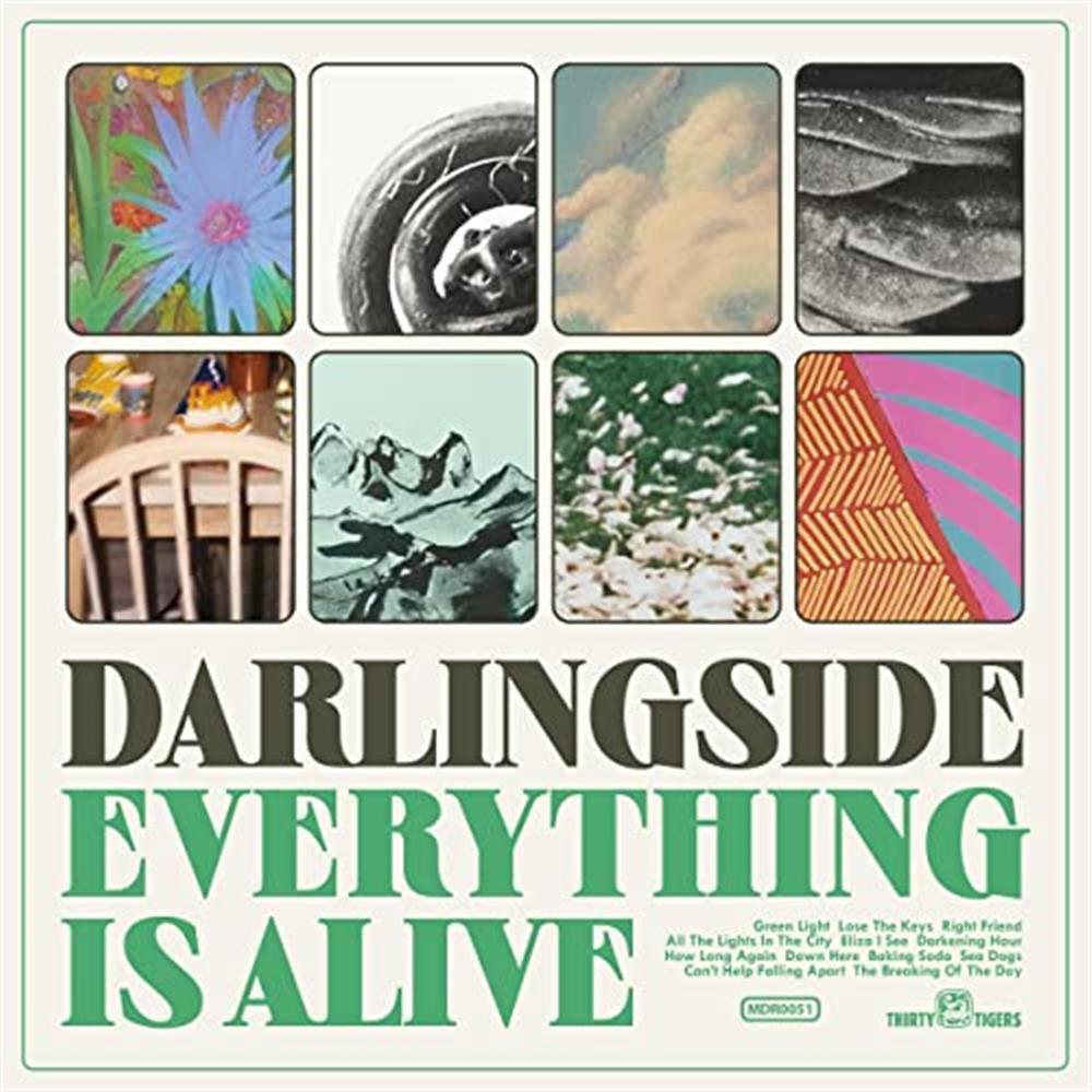 Everything Is Alive - Darlingside (Audio Cd)