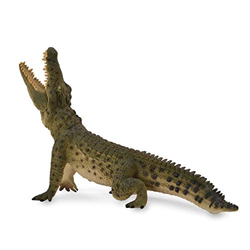 Collecta Col88725 - Salvaggi A Forma Di Coccodrillo Del Nil Maschio, Taglia Xl