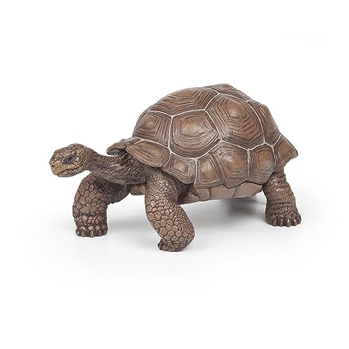 Papo Animal Statuetta, Colore Tartaruga Delle Galapagos, Small, 50161