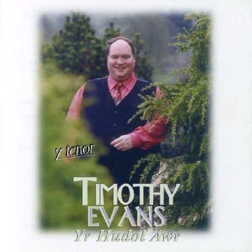 Timothy Evans Yr Hudol Awr (CD) Album