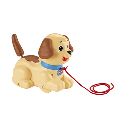 Fisher-Price - Piccolo Snoopy, Cucciolo Con Guinzaglio Da Portare In Giro, Muove Le Orecchie, Scondinzola E Abbaia, Perfetto Per Imparare A Camminare,