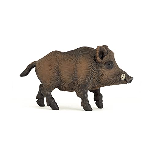 Papo - Statuetta Animale - Cinghiale, Robusto Abitante Della Foresta, Giocattolo Per Bambini Da 3 Anni - Immersione Nella Vita Selvaggia E Rispetto Pe
