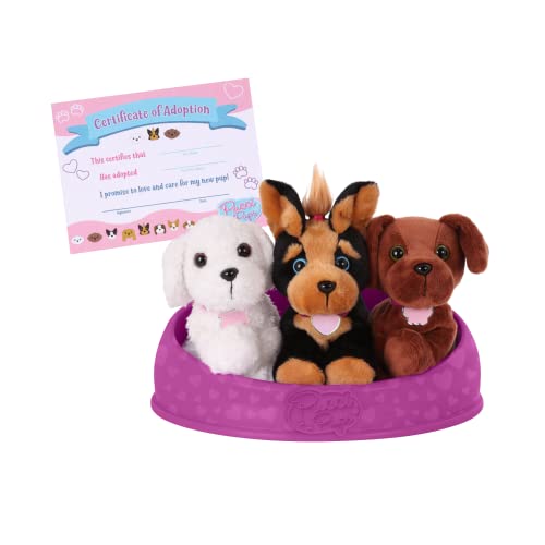 Pucci Pups- Dog Adopt-A-Pucci Pup, Colore, St8401Z