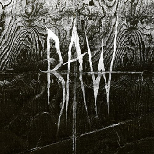 Raw From the First Glass to the Grave (CD) Album