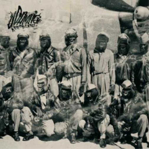 dDamage Aeroplanes (CD) Album
