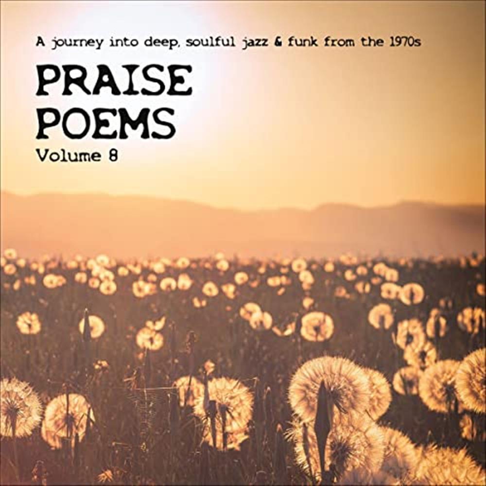 Praise Poems Vol 8 - Various Artists (Audio CD)