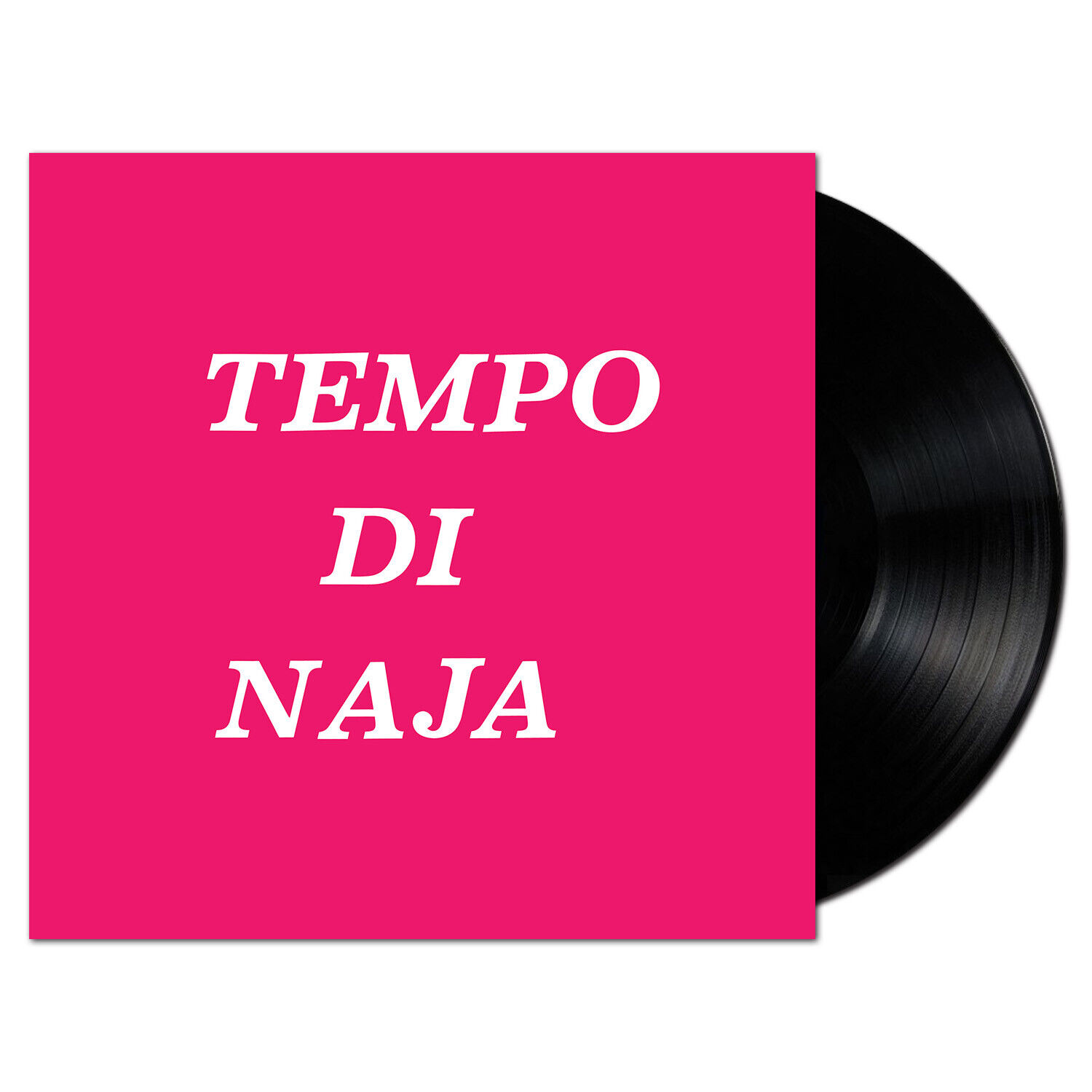 REMIGIO DUCROS tempo di naja LP library