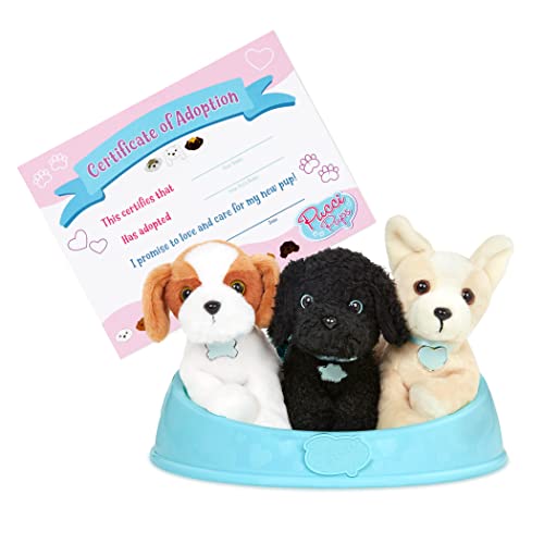 Pucci Pups- Dogs Adopt-A-Pucci Pup, Colore, St8402Z