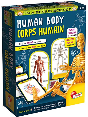 Lisciani I'M A Genius Human Anatomy Learning Kit With Illustrated Cards And Plastic Skeleton -Ex48960
