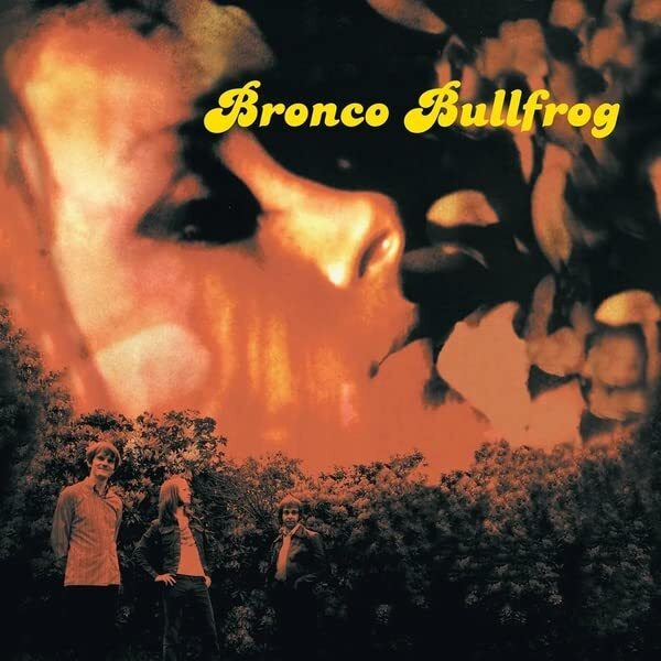 Bronco Bullfrog Bronco Bullfrog (Vinyl LP)