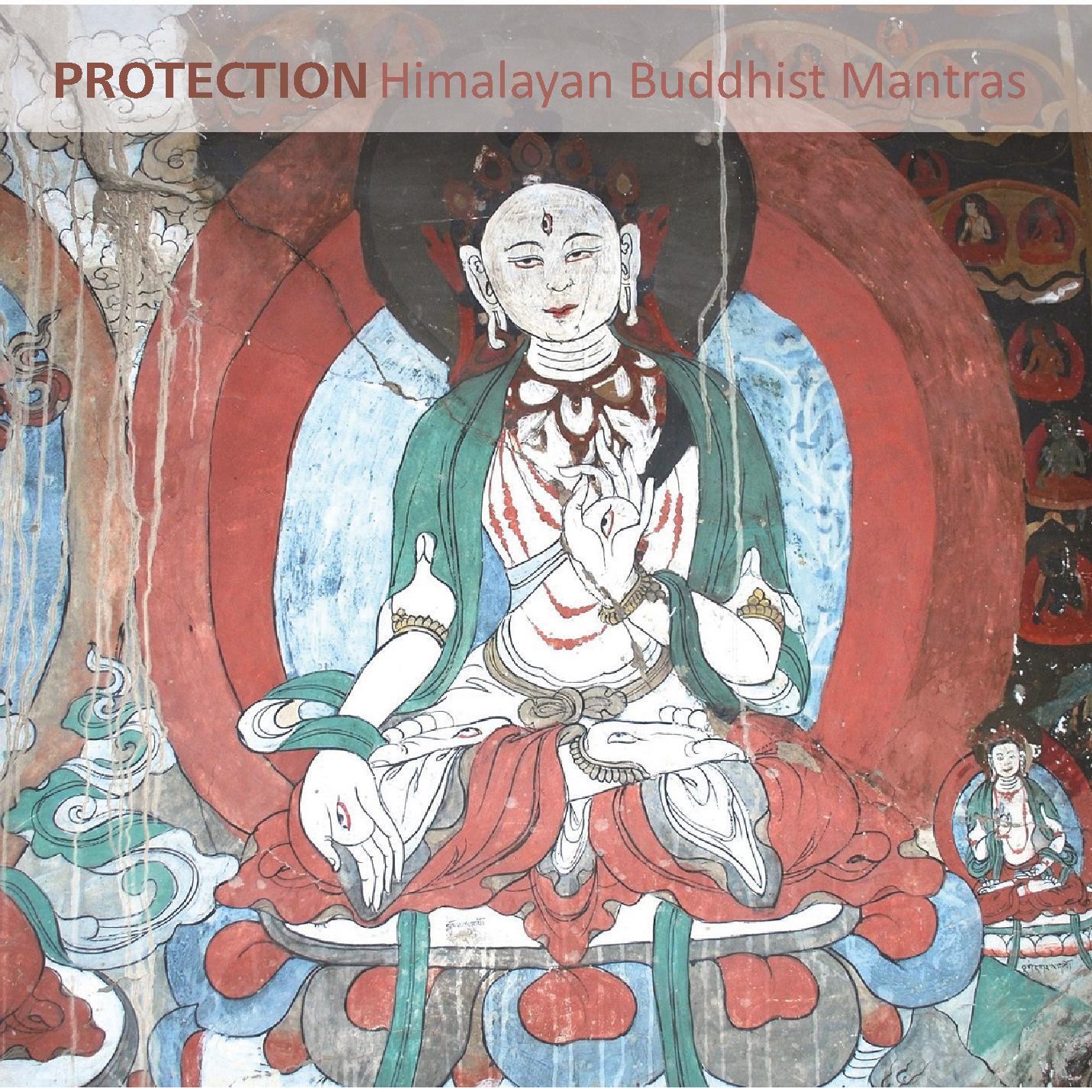 Aa.Vv. - Protection