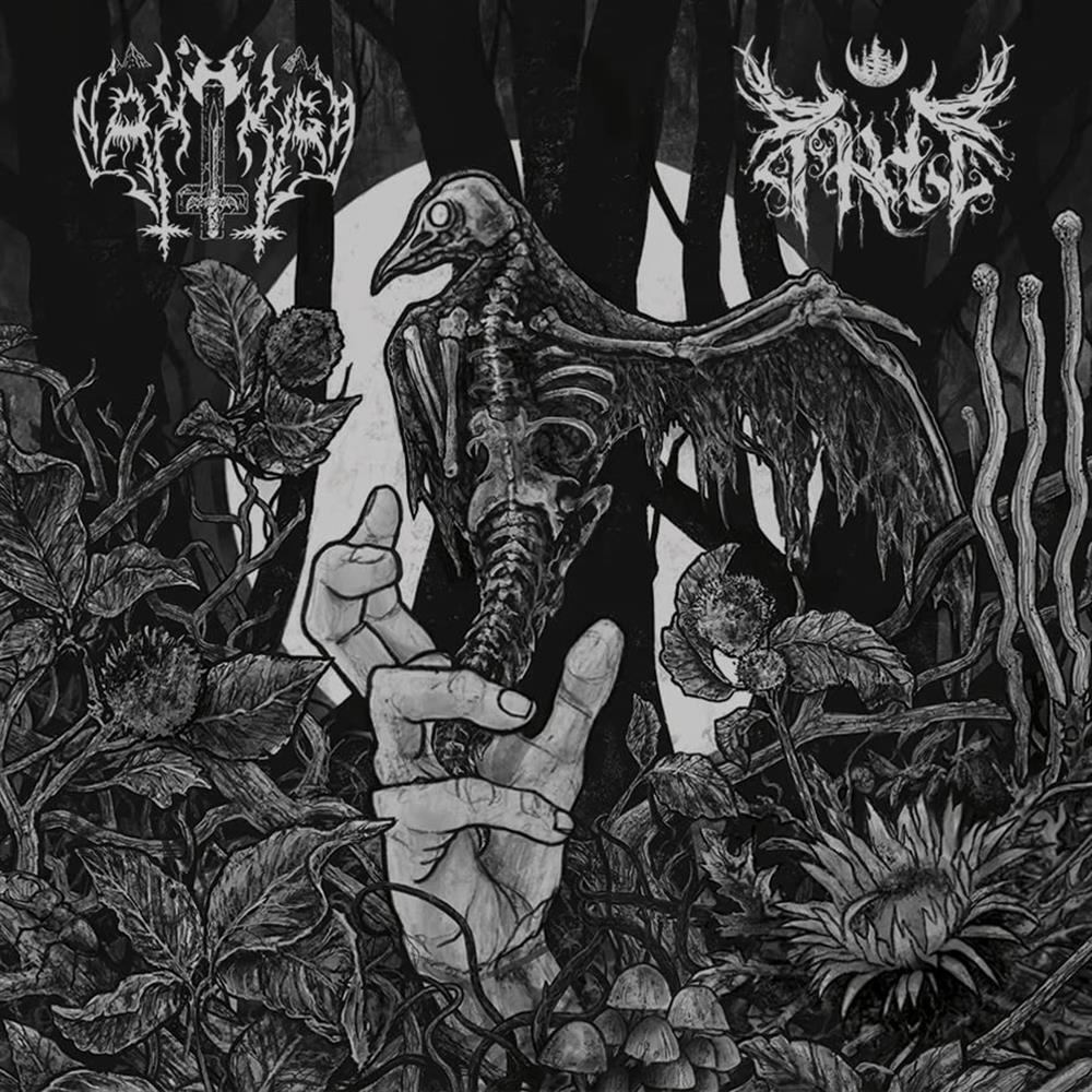 Nakkiga/Arde - Nakkiga/Arde (Audio Cd)