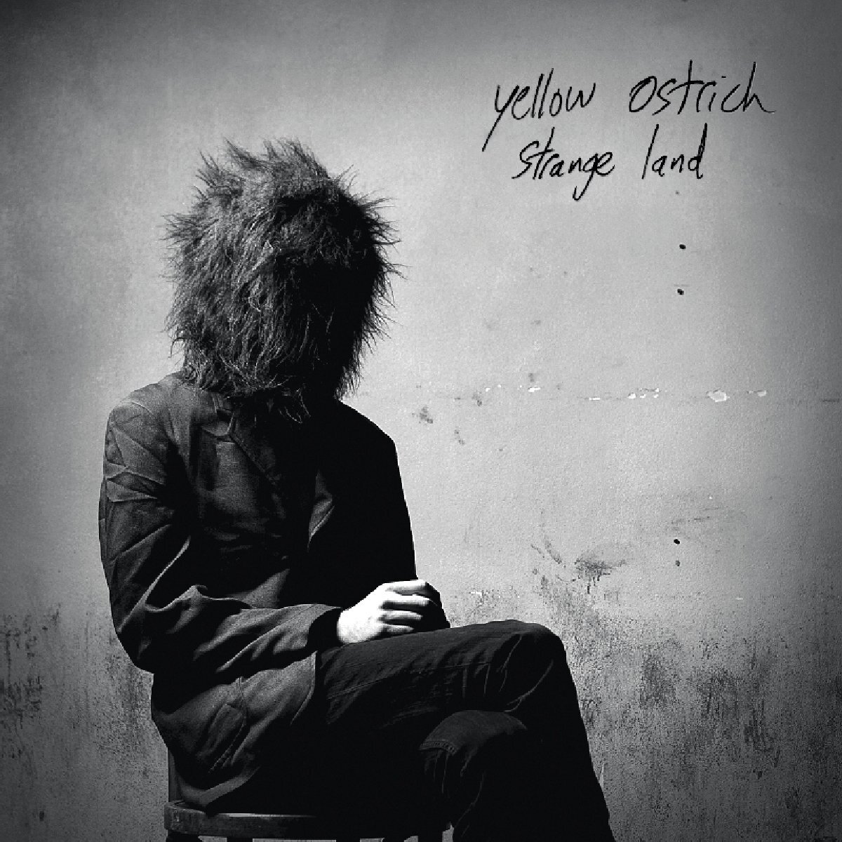 Yellow Ostrich Strange land (CD) Album