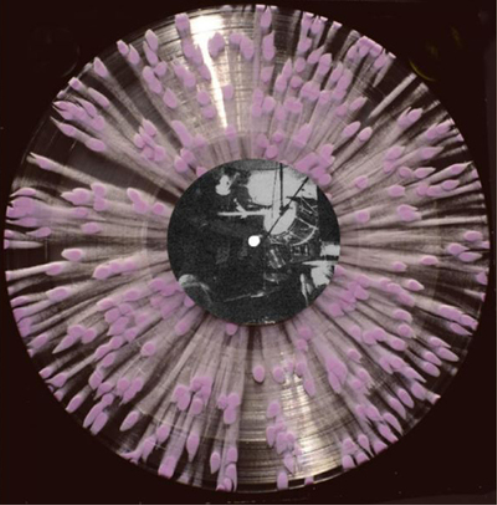 Slowcoaches Nothing Gives (Vinyl LP) 12" Album