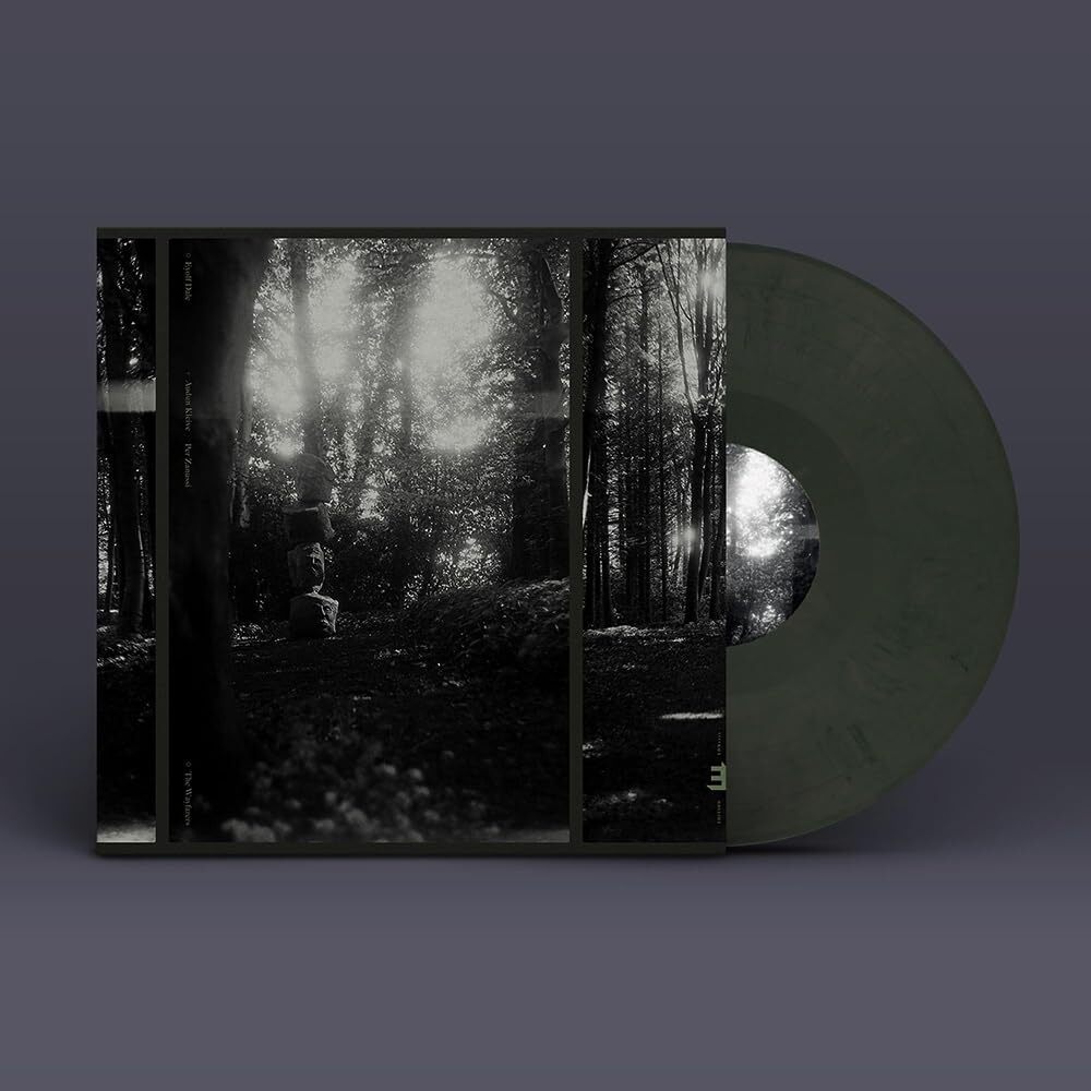 Eyolf Dale Wayfarers LP Vinyl NEW