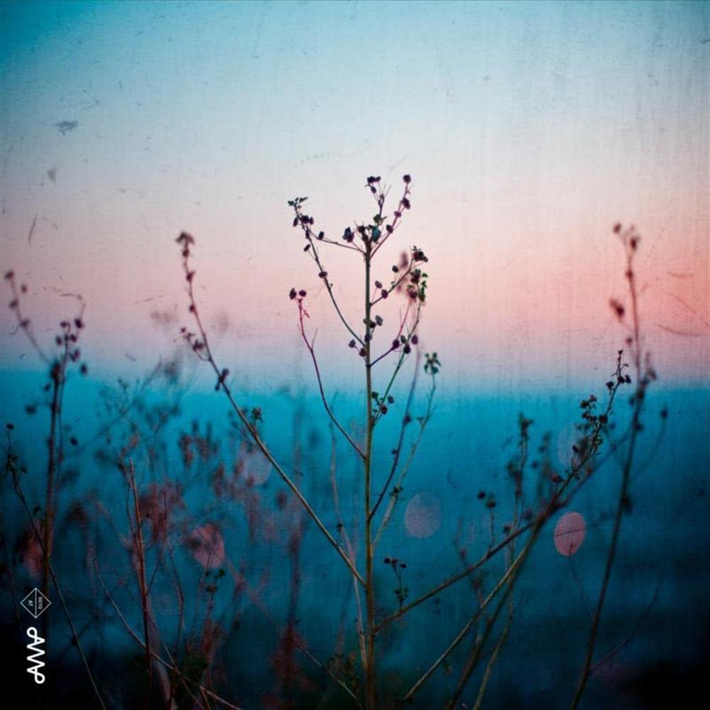 Quiet Quartet - Quiet Quartet (Audio Cd)
