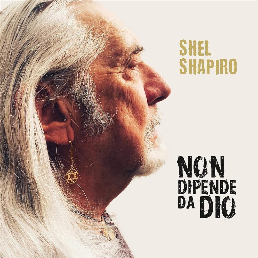 Non Dipende Da Dio - Shel Shapiro (Vinile)