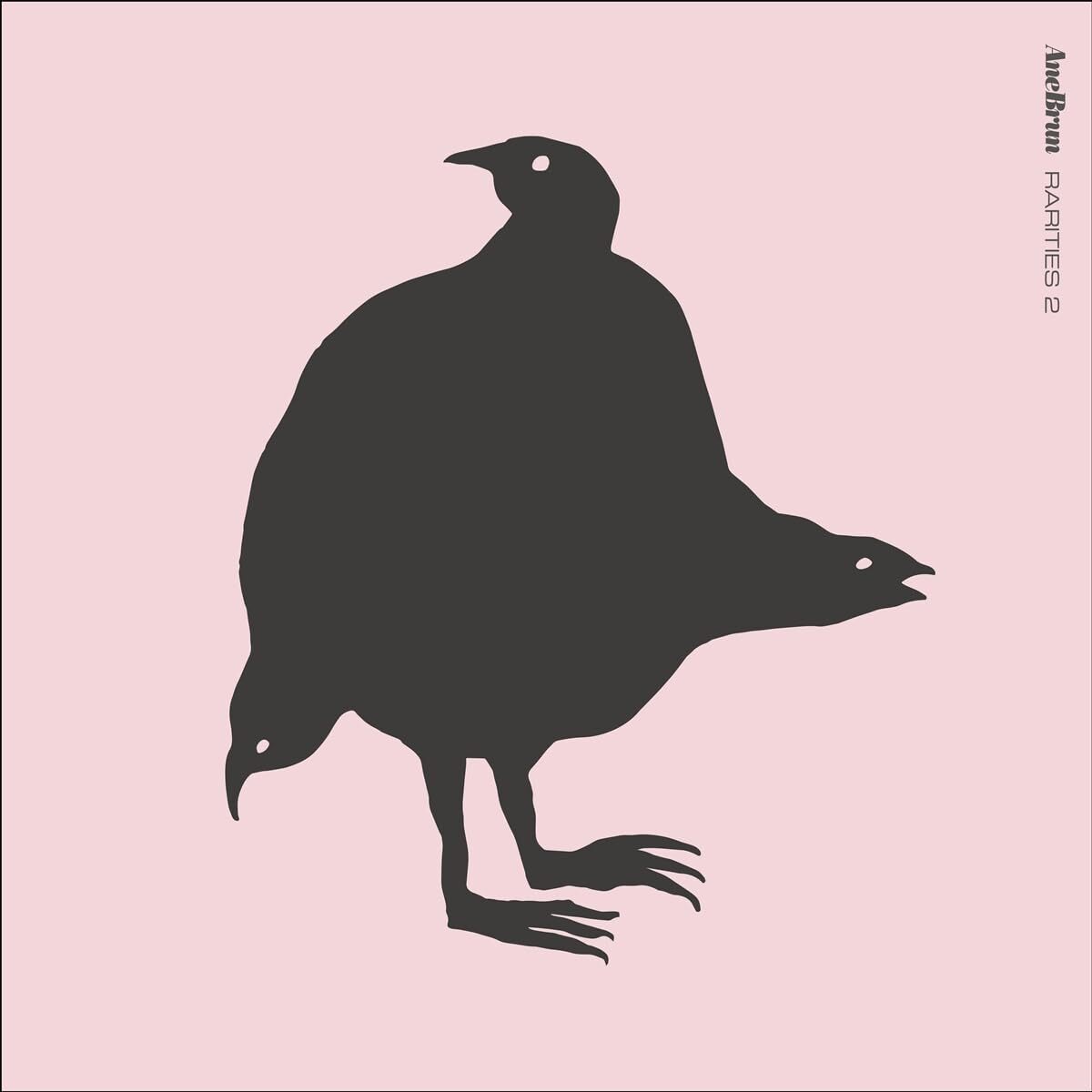 Brun, Ane Rarities 2 (Vinyl LP)