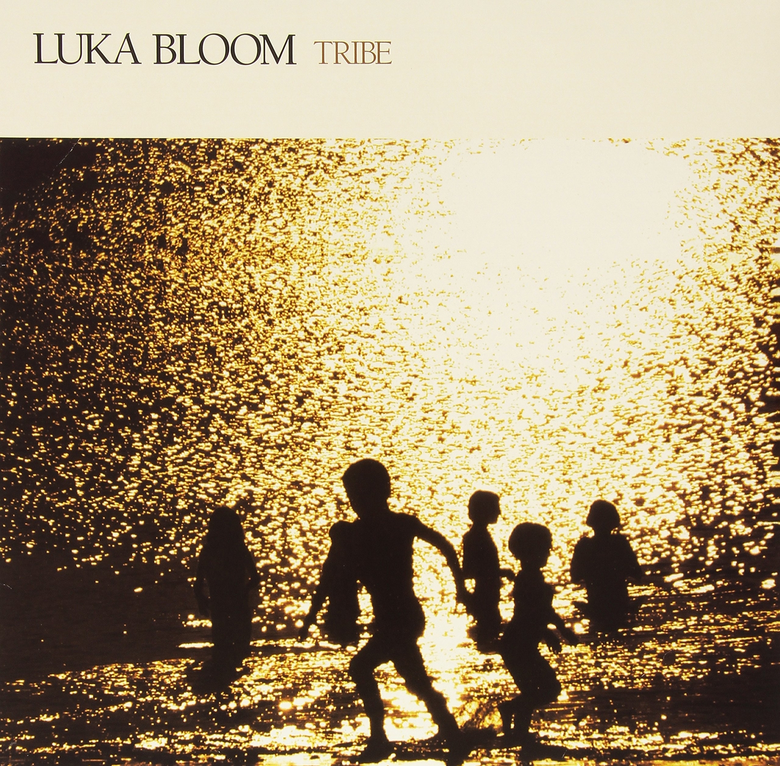 Luka Bloom Tribe (Vinyl LP)