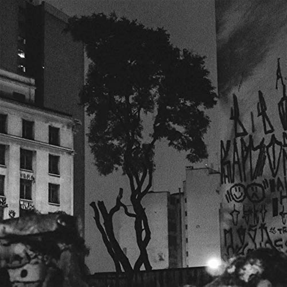 Realejo - Manuel Pessoa De Lima (Vinile)