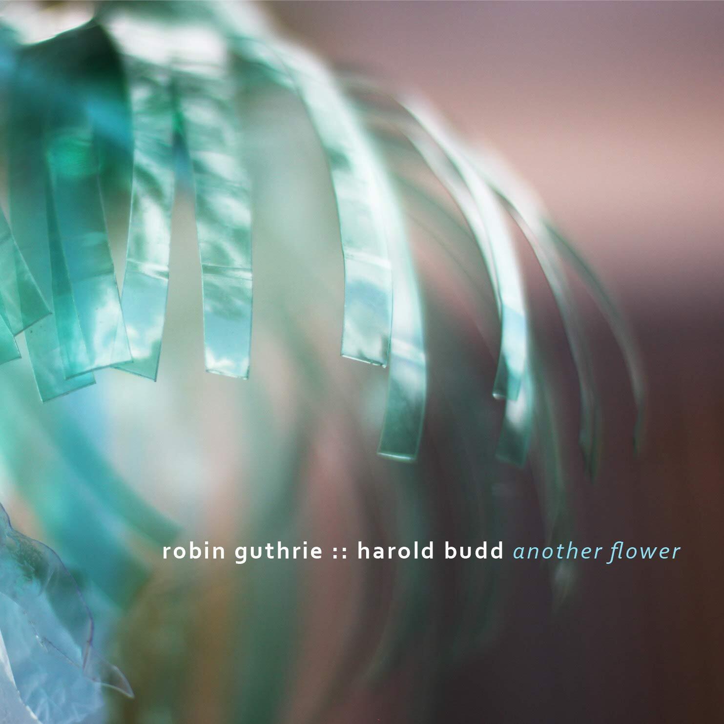 Guthrie, Robin / Budd, Harold Another Flower (CD)