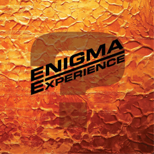 Enigma Experience ? (Vinyl LP) 12" Album