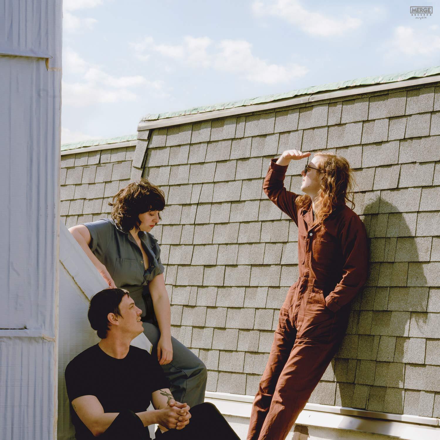 Swearin' Fall Into the Sun (Vinyl LP)