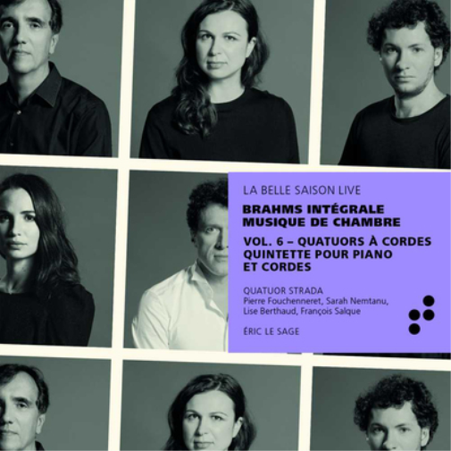 Johannes Brahms Brahms: Intégrale Musique De Chambre: Quatuors À Cordes/Qui (CD)