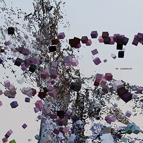 Rbi Disseminate LP Vinyl BSR042 NEW